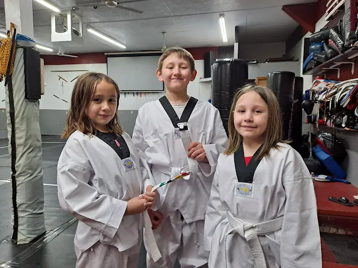 Counter Strikes Martial Arts Picture 2