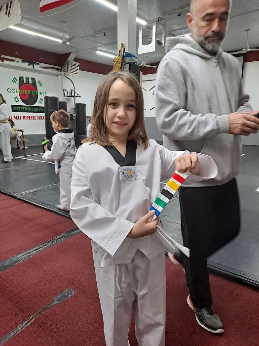 Counter Strikes Martial Arts Picture 3