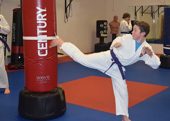 Aurora Martial Arts Picture 7