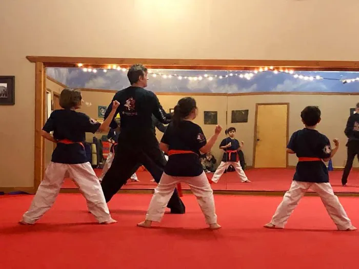 MooDo Taekwondo Picture 3