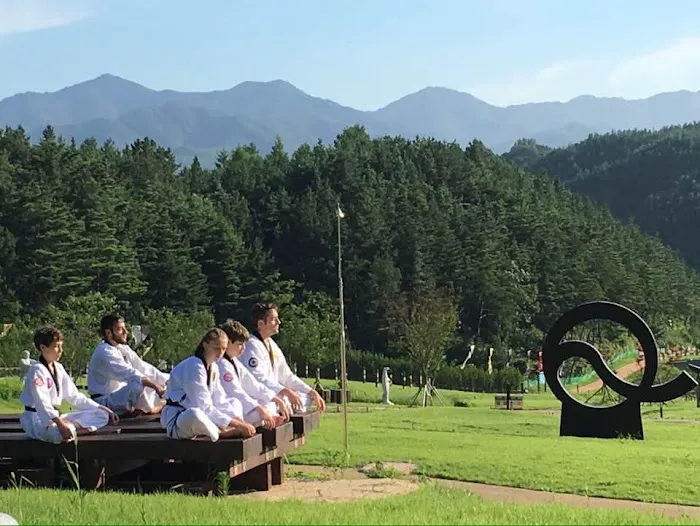 MooDo Taekwondo Picture 10