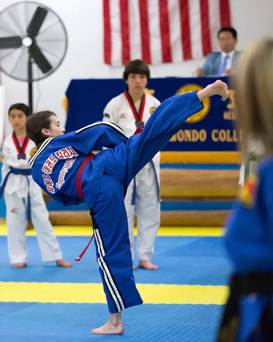 US Taekwondo College Picture 8