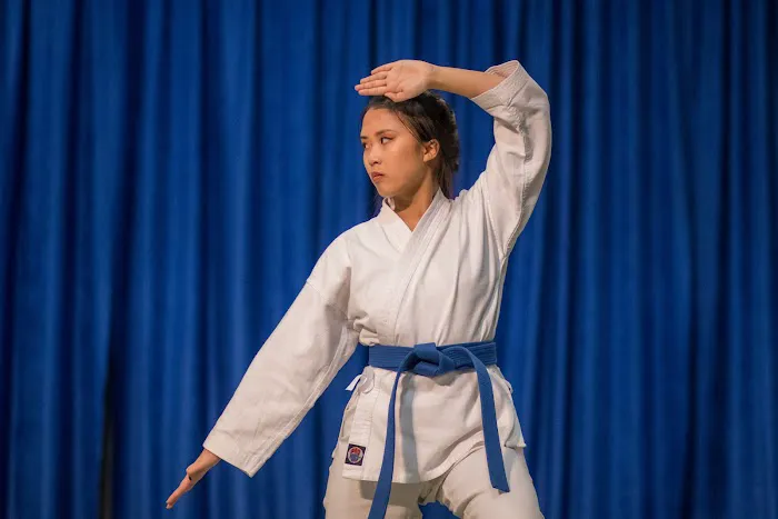 Best Martial Arts Institute Picture 4