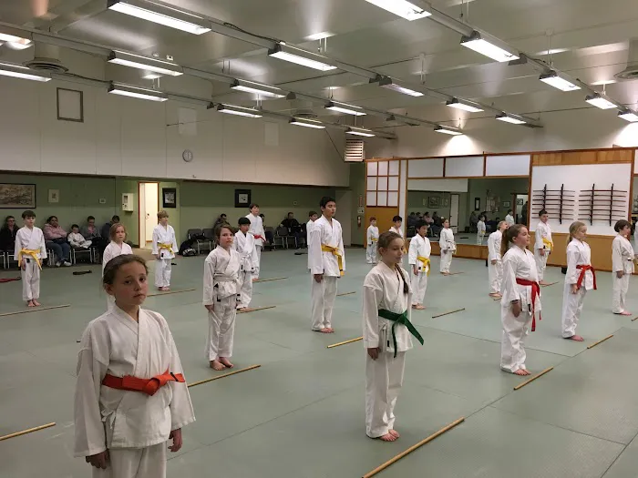 Best Martial Arts Institute Picture 5