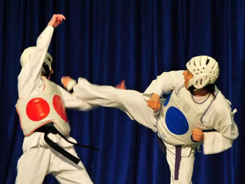 Best Martial Arts Institute Picture 6