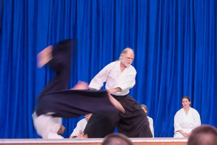 Best Martial Arts Institute Picture 8
