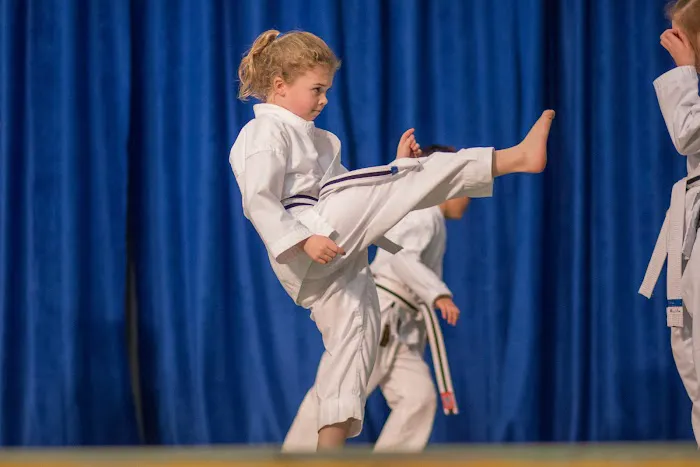 Best Martial Arts Institute Picture 10