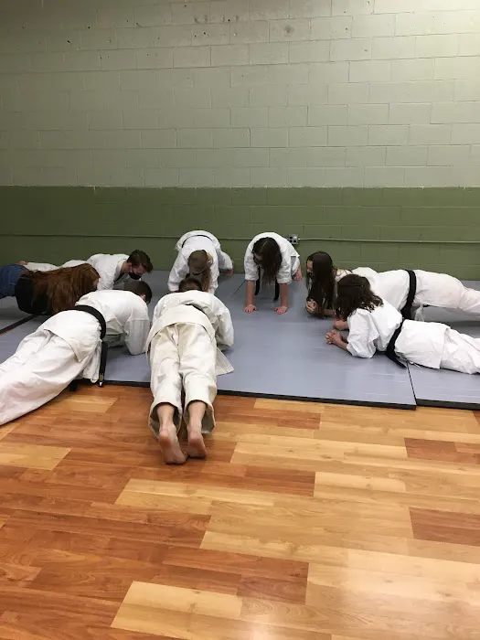 Family Karate Center Picture 1