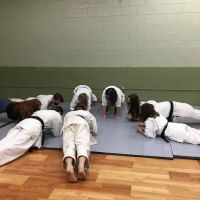 Family Karate Center ico