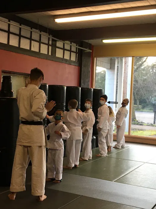 Family Karate Center Picture 3