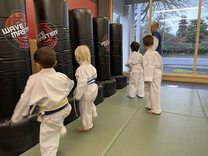 Family Karate Center Picture 4