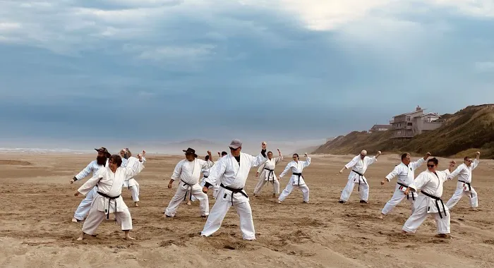 Family Karate Center Picture 2