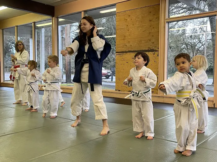 Family Karate Center Picture 9