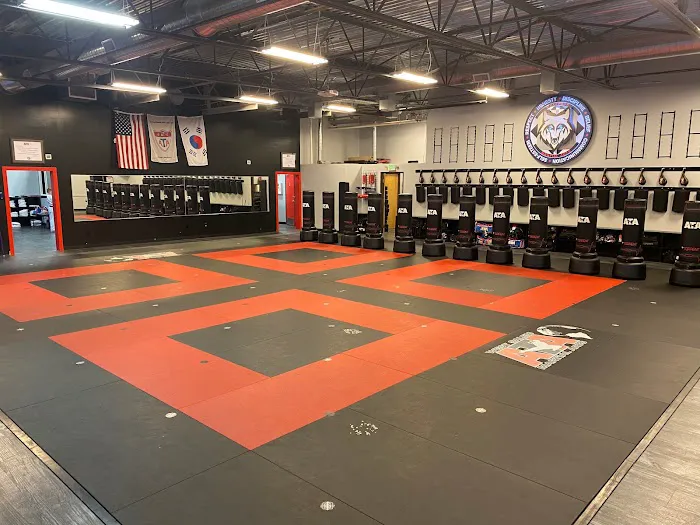 WolfPack ATA Martial Arts Picture 4