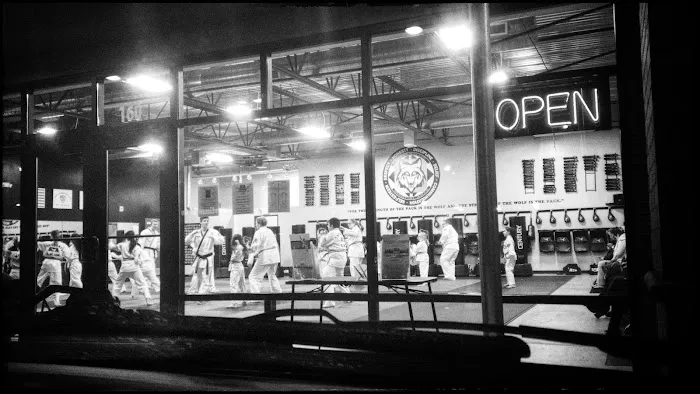 WolfPack ATA Martial Arts Picture 10