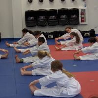 WolfPack ATA Martial Arts ico