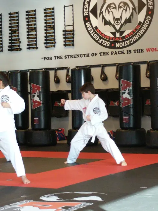 WolfPack ATA Martial Arts Picture 6