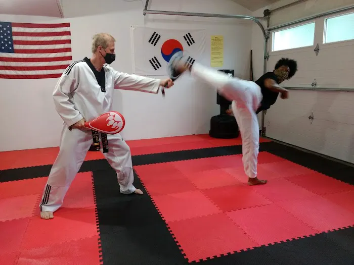 Reason's World Taekwondo Academy, LLC Picture 4