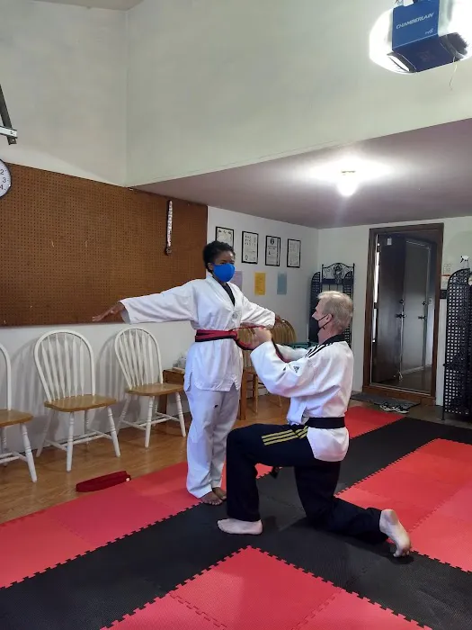 Reason's World Taekwondo Academy, LLC Picture 5