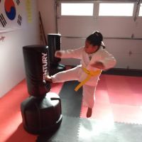 Reason's World Taekwondo Academy, LLC ico