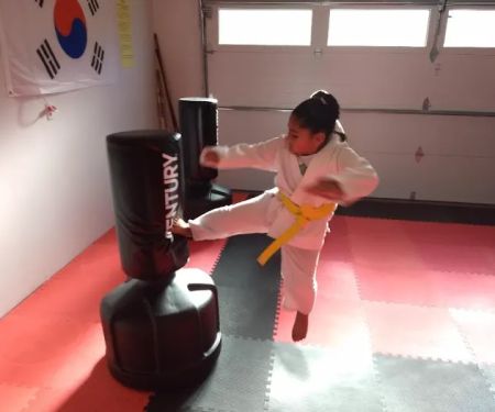 Reason's World Taekwondo Academy, LLC
