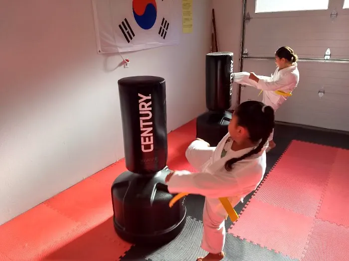 Reason's World Taekwondo Academy, LLC Picture 2