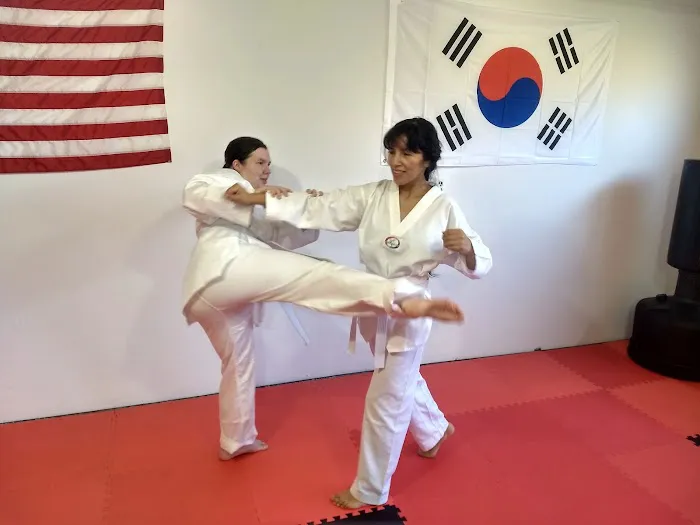 Reason's World Taekwondo Academy, LLC Picture 7