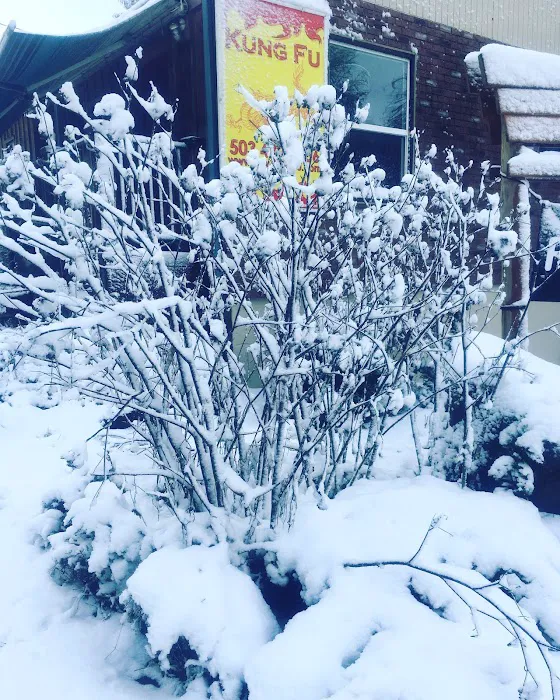 Mountain Warrior Kung Fu Picture 10