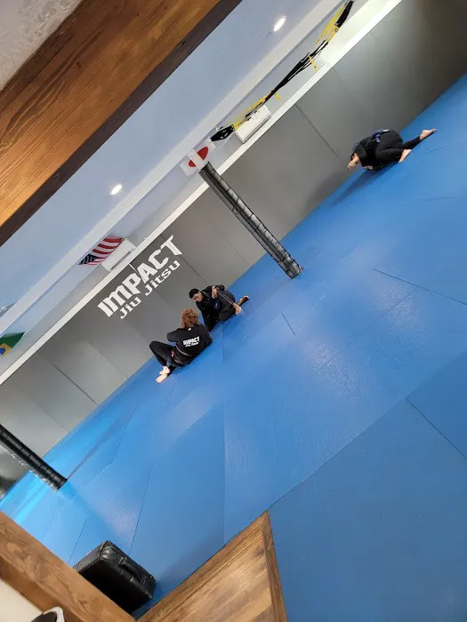 Impact Jiu Jitsu Mcminnville Picture 2