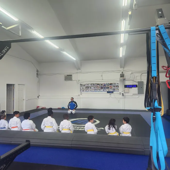 Mendonca Academy Picture 3