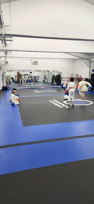 Mendonca Academy Picture 1