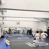 Mendonca Academy ico