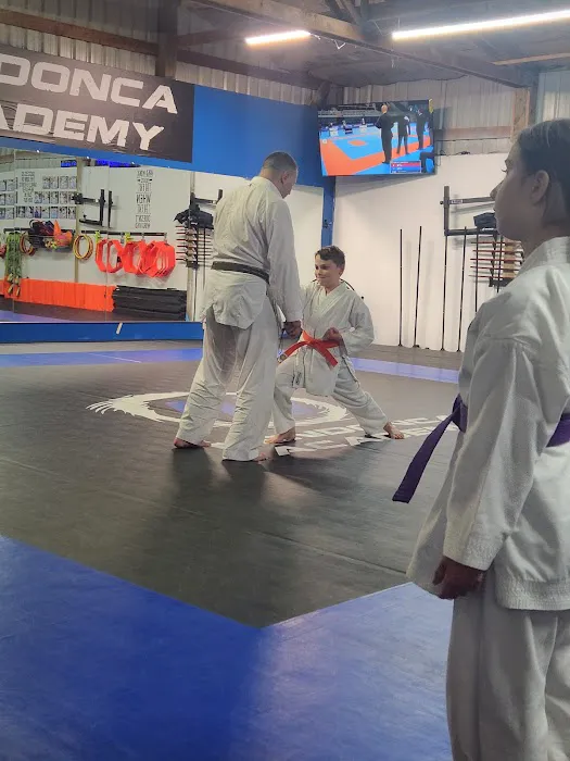 Mendonca Academy Picture 7