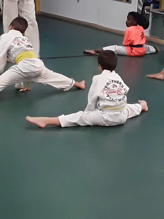 Brother's TaeKwonDo Picture 7