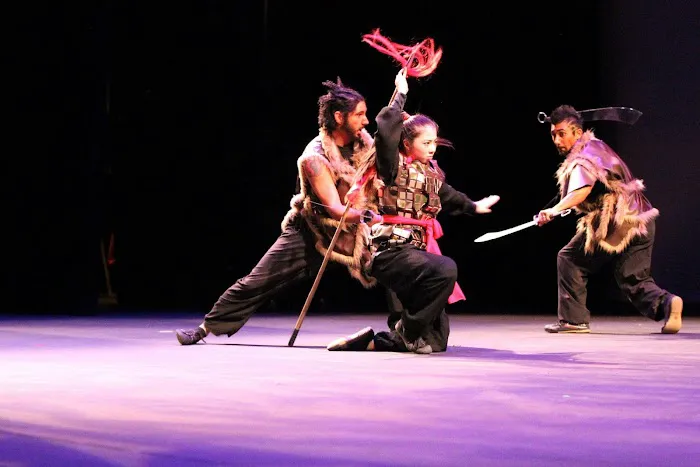 Phoenix Wushu Academy Picture 2