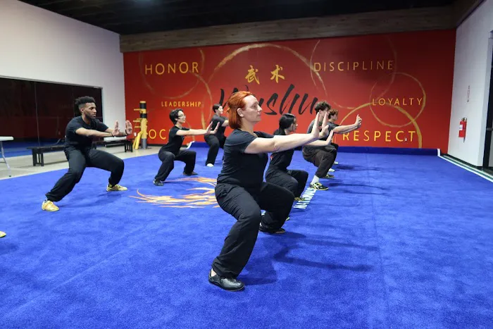Phoenix Wushu Academy Picture 1