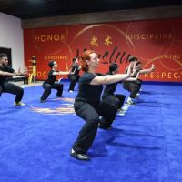 Phoenix Wushu Academy ico