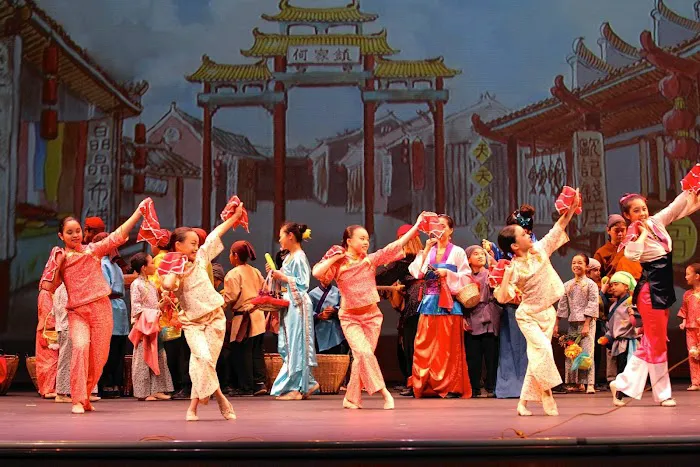 Phoenix Wushu Academy Picture 3