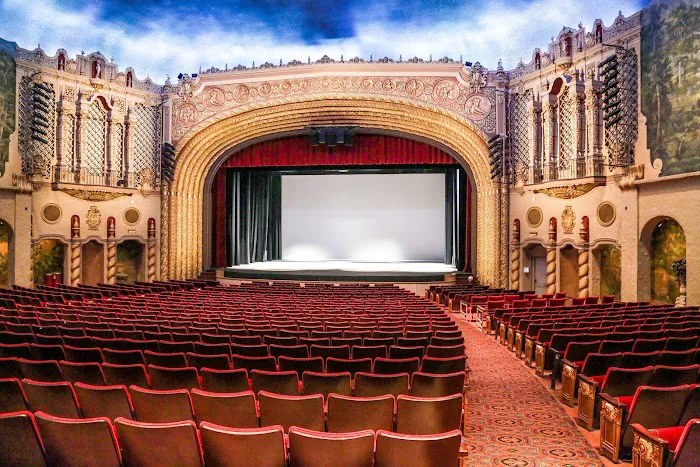 Phoenix Wushu Academy Picture 4