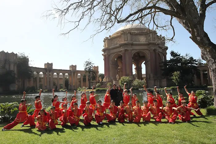 Phoenix Wushu Academy Picture 6