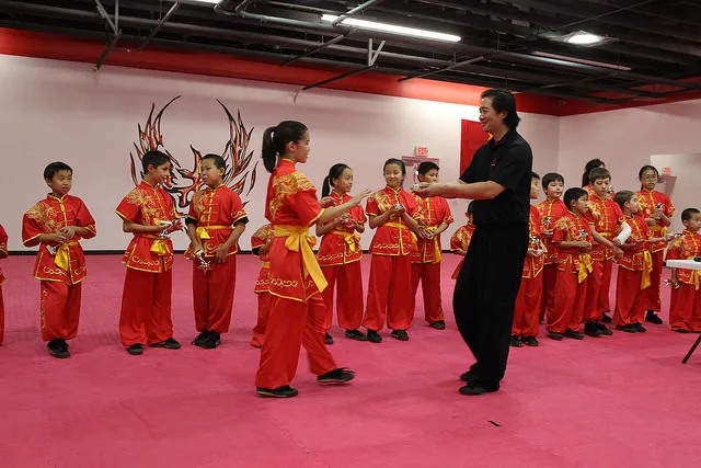 Phoenix Wushu Academy Picture 7