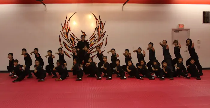 Phoenix Wushu Academy Picture 8