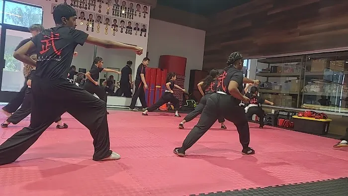 Phoenix Wushu Academy Picture 10