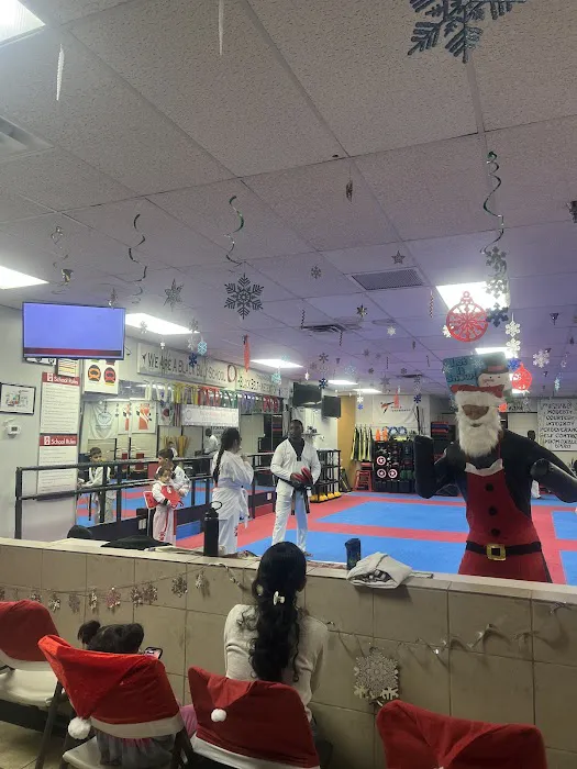 First Taekwondo Picture 2