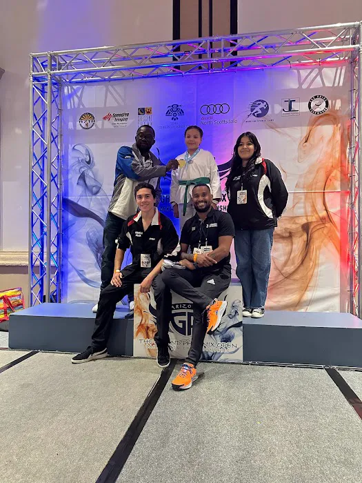 Arizona Dragons Taekwondo LLC Picture 4