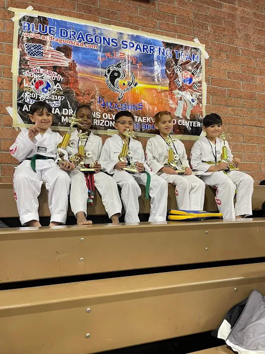 Arizona Dragons Taekwondo LLC Picture 5