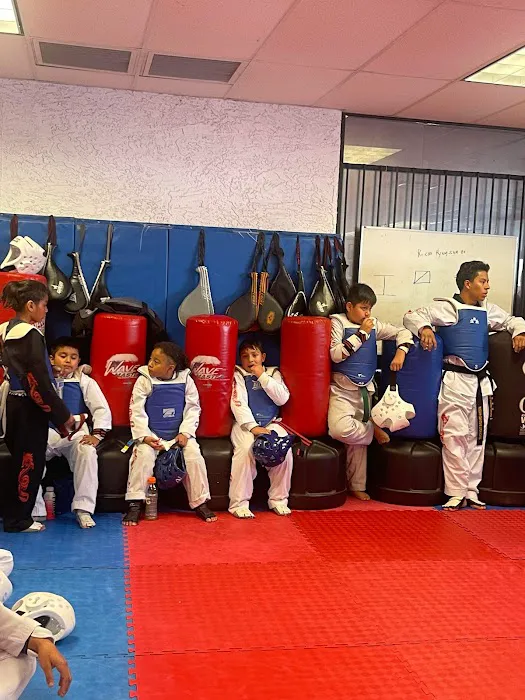 Arizona Dragons Taekwondo LLC Picture 7