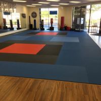 Jeff Speakman Kenpo 5.0 Martial Arts ico