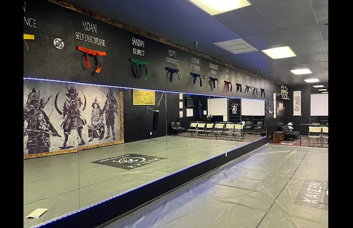 Kaizen Academy of Martial Arts Picture 6