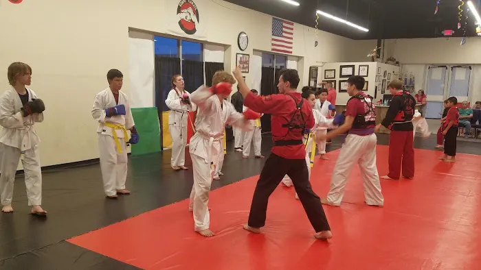 APSK Martial Arts Academy Picture 1